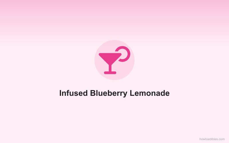 Infused Blueberry Lemonade